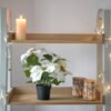 Unyqoos® Realistisch ogende witte kerstster in pot voor feestelijke decoratie