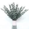 Unyqoos® Set van 36 kunstmatige eucalyptus takken voor decoratie en bloemstukken