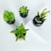550x550-23068.jpg Unyqoos® Set van Vier Kunstplanten in Keramische Pot voor Stijlvolle Interieurdecoratie