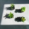 550x550-23071.jpg Unyqoos® Set van Vier Kunstplanten in Keramische Pot voor Stijlvolle Interieurdecoratie