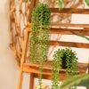 550x550-23078.jpg Unyqoos® Set van Twee Realistische Kunstplanten met Decoratief Plantenkoord voor Interieur