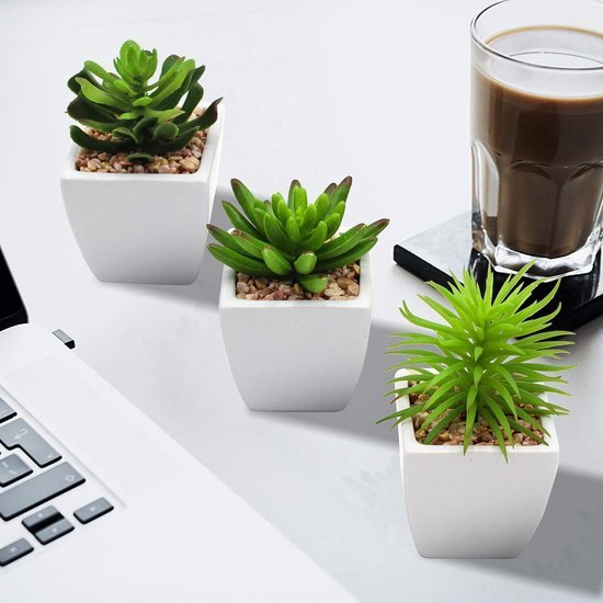 550x550-23084.jpg Unyqoos® Set van 3 realistische kunstvetplanten in keramische pot voor interieurdecoratie, groente, 14cm, 3 stuks