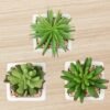 550x550-23087.jpg Unyqoos® Set van 3 realistische kunstvetplanten in keramische pot voor interieurdecoratie, groente, 14cm, 3 stuks