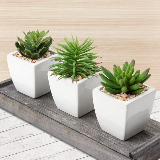 550x550-23088.jpg Unyqoos® Set van 3 realistische kunstvetplanten in keramische pot voor interieurdecoratie, groente, 14cm, 3 stuks