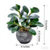 Unyqoos® Decoratieve groene plant in stevige pot voor binnen en overdekte buitenruimtes