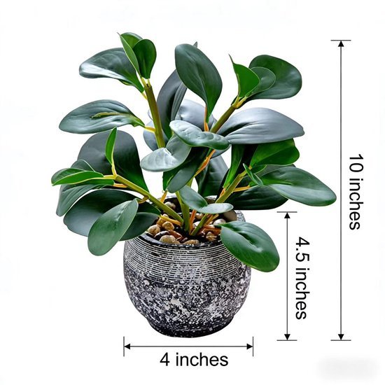 Unyqoos® Decoratieve groene plant in stevige pot voor binnen en overdekte buitenruimtes