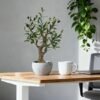 550x550-23199.jpg Unyqoos® Stijlvolle kunstplant olijfboom in stenen pot voor interieurdecoratie