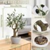 550x550-23202.jpg Unyqoos® Stijlvolle kunstplant olijfboom in stenen pot voor interieurdecoratie