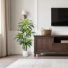 Unyqoos® Decoratieve kunstmatige drakenboom voor binnen met zwarte planter