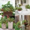 Unyqoos® Weerbestendige kunstplanten set voor tuin, balkon en interieur decoratie