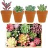 550x550-23276.jpg Unyqoos® Set van 16 Realistische Kunstvetplanten voor Decoratie van Huis en Kantoor