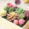 550x550-23277.jpg Unyqoos® Set van 16 Realistische Kunstvetplanten voor Decoratie van Huis en Kantoor