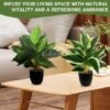 550x550-23303.jpg Unyqoos® Set van twee levensechte kunstplanten in pot voor huis en kantoor
