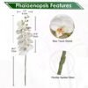 550x550-23306.jpg Unyqoos® Set van vier natuurgetrouwe kunsttakken met witte orchideebloemen