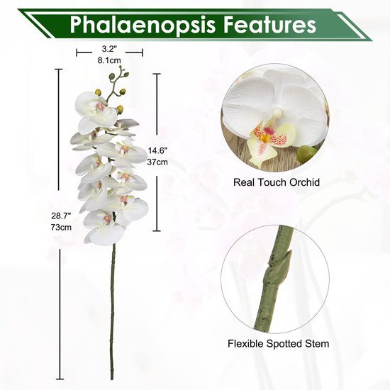 550x550-23306.jpg Unyqoos® Set van vier natuurgetrouwe kunsttakken met witte orchideebloemen
