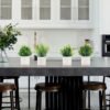 550x550-23586.jpg Unyqoos® Set van vier kunstplanten in pot voor veelzijdige interieurdecoratie