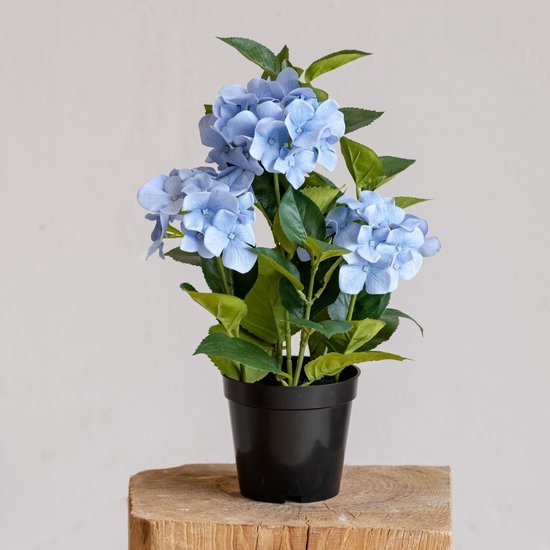 Unyqoos® Decoratieve kunsthortensia met pot voor een sfeervol interieur
