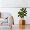 Unyqoos® Groenblijvende kunstplant Ficus elastica met realistische uitstraling voor elk interieur