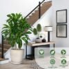 550x550-23650.jpg Unyqoos® Levensechte kunstplant Dracaena met elegante pot voor binnen en buiten