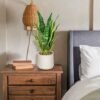 Unyqoos® Decoratieve kunstplant Sansevieria in stijlvolle keramische pot voor elke ruimte