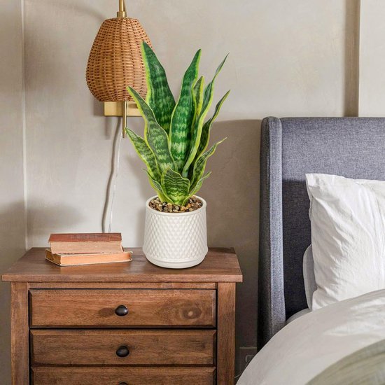 Unyqoos® Decoratieve kunstplant Sansevieria in stijlvolle keramische pot voor elke ruimte