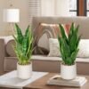 Unyqoos® Decoratieve kunstplant Sansevieria in stijlvolle keramische pot voor elke ruimte