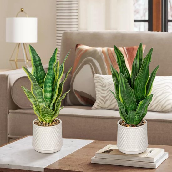 Unyqoos® Decoratieve kunstplant Sansevieria in stijlvolle keramische pot voor elke ruimte