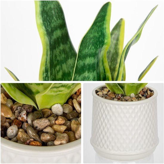 Unyqoos® Decoratieve kunstplant Sansevieria in stijlvolle keramische pot voor elke ruimte