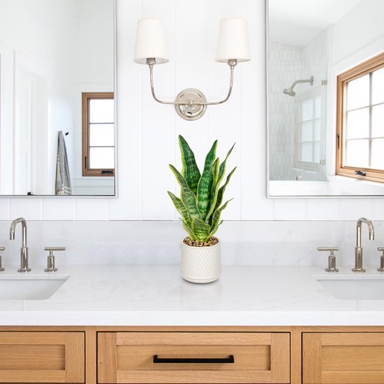 Unyqoos® Decoratieve kunstplant Sansevieria in stijlvolle keramische pot voor elke ruimte