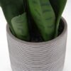 Unyqoos® Levensechte decoratieve kunstplant Sanseveria in cementpot voor interieur