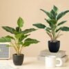 550x550-23749.jpg Unyqoos® Set van twee levensechte kunstplanten in pot voor decoratieve doeleinden
