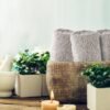 Unyqoos® Zachte en Luxe Handdoeken Set voor Dagelijks Gebruik - 6-Delig Inclusief Badlakens, Handdoeken en Waslapjes