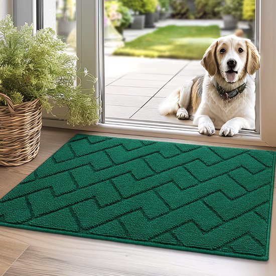 Unyqoos® Wasbare Antislip Deurmat voor Binnen en Buiten, Vuilafstotend, Absorberend, 50 x 80 cm, Groen