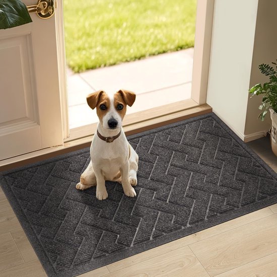 Unyqoos ® Stijlvolle Antislip Deurmat Voor Binnen En Buiten Met Hoog Absorptievermogen En Ontwerp 43 x 75 cm,