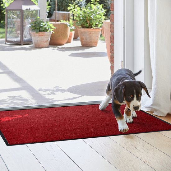 Unyqoos® Rode vuilvangmat voor binnengebruik met antislip en wasbare eigenschappen 40x60 cm