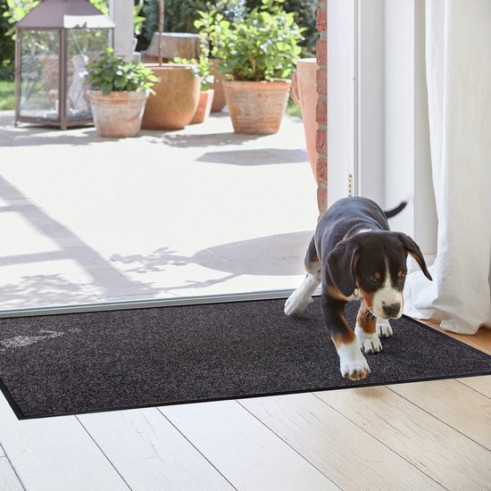 Unyqoos® Blauwgrijze deurmat voor binnen met antislip en vuilopvang 40x60 cm