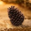 550x550-31342.jpg Unyqoos® Set van 15 natuurbruine dennenappels voor decoratie en knutselprojecten