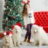 Unyqoos® Feestelijke set van kerstmutsen en haaraccessoires voor jong en oud