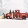550x550-31524.jpg Unyqoos® Set van 30 Miniatuur Kerstbomen voor Binnen Decoratie in Verschillende Kleuren en Maten