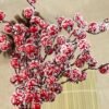 550x550-32252.jpg Unyqoos® Set van 14 decoratieve rode bessen voor feestelijke en creatieve toepassingen