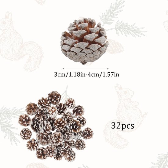 Unyqoos® Set van 32 natuurlijke mini-dennenappels met sneeuwlook voor decoratie