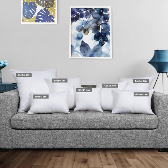 Unyqoos ® Comfortabele Set van 2 Luxe Sierkussens 35 x 35 cm voor Bank en Slaapkamer