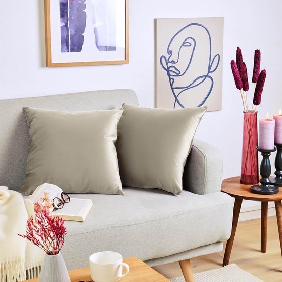 Unyqoos ® Set van 2 Luxe Fluwelen Kussenslopen 45 x 45 cm met Verborgen Ritssluiting, Taupe