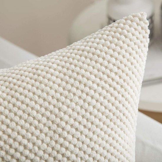 Unyqoos® Stijlvolle en Zachte Kussenhoezen met Korrelpatroon voor Woonkamer en Slaapkamer, Set van 2, 40 x 60 cm, Beige