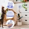 Unyqoos® Set van vier sterke zuignappen voor kattenhangmatten en decoraties