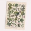 550x550-44688.jpg Unyqoos® Vintage Poster met Diverse Boomsoorten op Hoogwaardig Papier in A2 Formaat