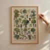 550x550-44689.jpg Unyqoos® Vintage Poster met Diverse Boomsoorten op Hoogwaardig Papier in A2 Formaat