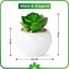 550x551-30.jpg Unyqoos® Set van 6 decoratieve kunstplanten in witte keramische potten voor elk interieur