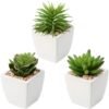 550x552-36.jpg Unyqoos® Set van 3 realistische kunstvetplanten in keramische pot voor interieurdecoratie, groente, 14cm, 3 stuks