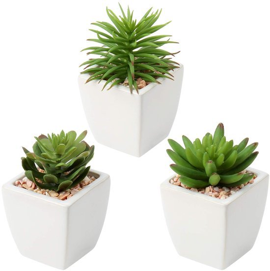 550x552-36.jpg Unyqoos® Set van 3 realistische kunstvetplanten in keramische pot voor interieurdecoratie, groente, 14cm, 3 stuks